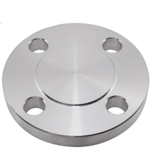 Stainless Steel Fored Big Plate Flange