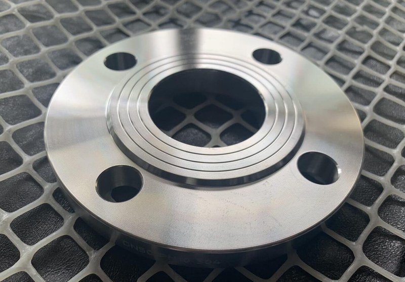 DIN forged A240 2507 plate flange for valve fitting CDPL042