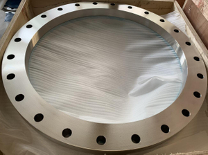 EN1092 Type02 stainless steel loose plate flange CDPL060